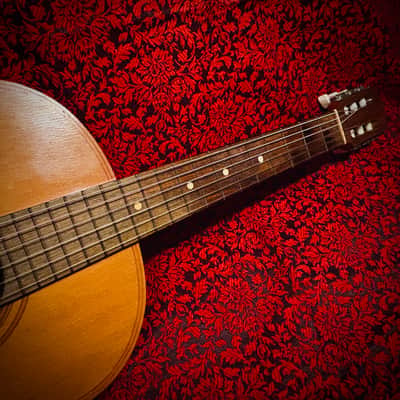 Vintage 1965 Giannini Model 6 image 11