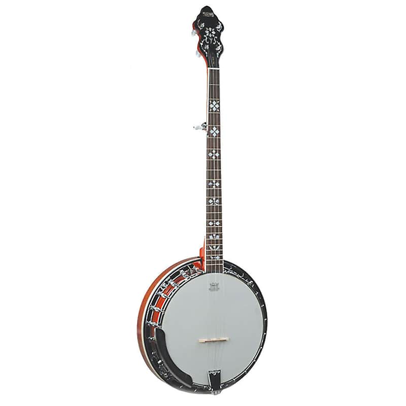 Recording King RK-R20 Songster 5-String Tone Ring Banjo image 1