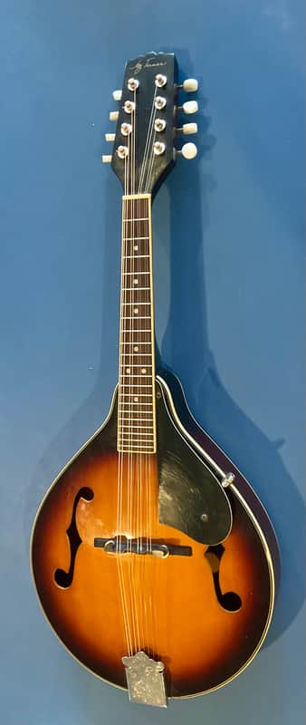 Jay Turser A-Style Mandolin image 1