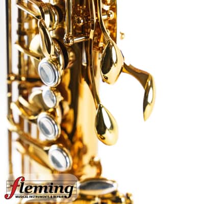 NEW Eastman EAS850 Rue Saint-Georges Professional Alto Saxophone (Competition Demo / Open Box Model) image 22