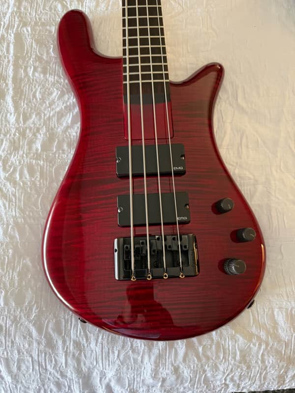 Spector Bantam 4 - Black Cherry image 1