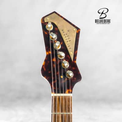 BELVEDERE - Viper (2024) - Dark Paprika image 2