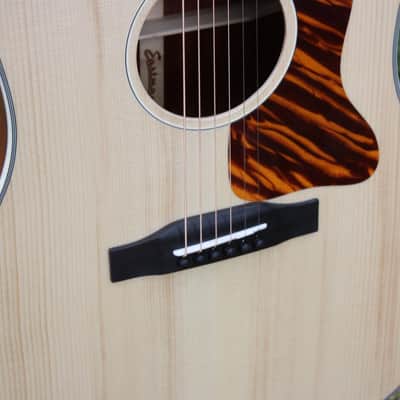 Eastman E1SS Ltd Edition image 5