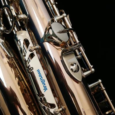 Yanagisawa Alto Saxophone AW020 Bronze Model Bronze image 4