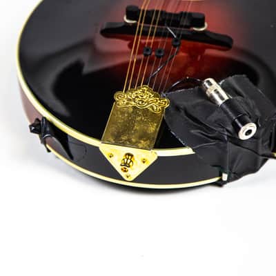 Michael Kelly F Style Mandolin Owned by Matt Freeman Of Rancid image 9