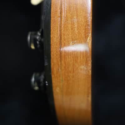 Gibson Les Paul Triumph Bass 1973 Walnut image 17