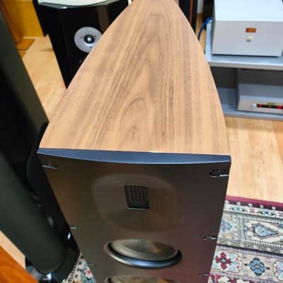 SCANSONIC BY RAIDHO Q10 image 17