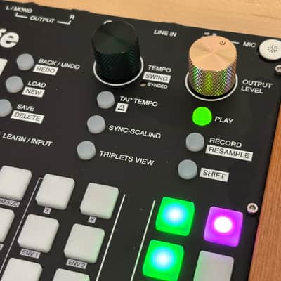 Synthstrom Deluge - OLED display - with case image 11