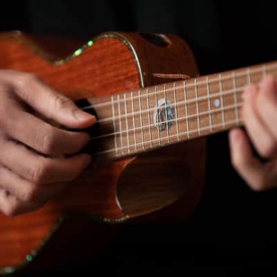 Ortega ECLIPSE-CC4 Custom Built Series Solid Mahogany Top Okoume Neck 4-String Concert Ukulele w/Gig Bag image 15