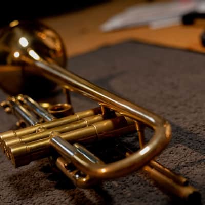 Van Laar OIRAM II 2013 - Raw Brass image 3