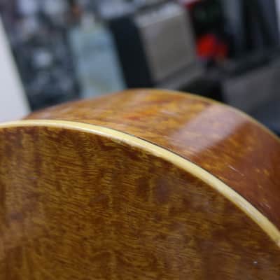 Eko Ranger VI Electroacoustic (Hard Case included) image 14