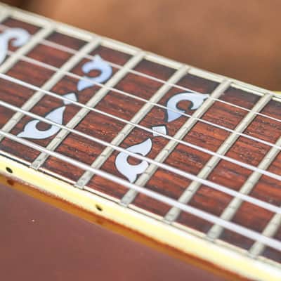 Ibanez 2405 Custom Agent 1975 | Sunburst image 13