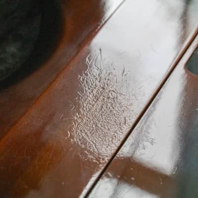 Gibson Firebird VII 2003 Vintage Sunburst image 15