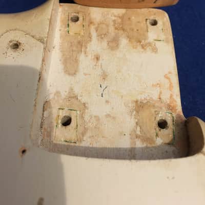 Fender Duo-Sonic 1957 Desert Sun image 11