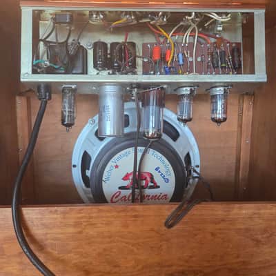 DeArmond Rowe Amplifier 10" Combo Super RARE, Tube Driven Tremolo Circuit R5t 1959-1962 - copper image 4