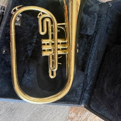 Marching French horn, Dynasty brand image 7