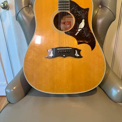 Gibson Dove 1970s image 2