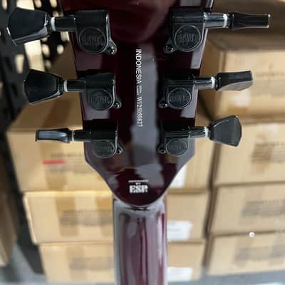 ESP LTD EC-201FT Electric Guitar - See Thru Black Cherry image 6