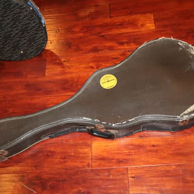 Gibson ES-330. ES-335, Casino Soft case 1966-1969 image 1