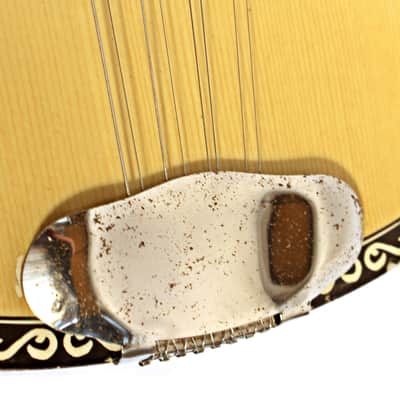Ecorda BP10 Bouzouki; Made in Greece, 8 Strings image 17
