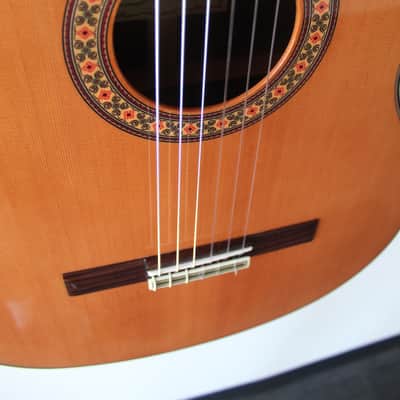 Brand New Alhambra 10 Premier Nylon String Classical Guitar image 5