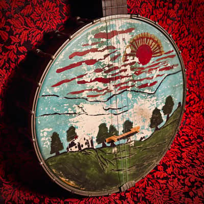 Rare 1920s Washburn Tenor Banjo Style E image 3