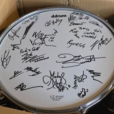 Vinnie Paul Snare Drum ARTIST SIGNED Brand New DDrum Pantera Signature 8x14 NOS Collector's Memorabilia image 7