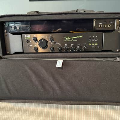 Bergantino Forte 800-Watt Bass Head & Korg Tuner image 2