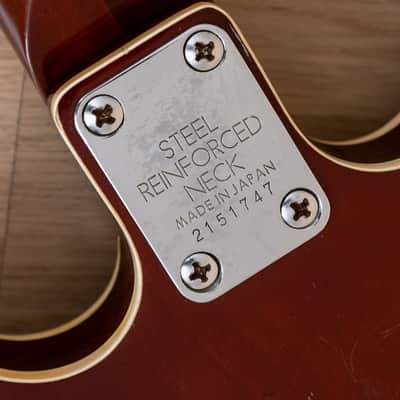 1970s Lyle 5102-T Vintage Hollowbody Electric Guitar, Japan, Matsumoku, Aria image 15