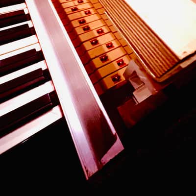 Rhodes Piano Bass - Black image 6