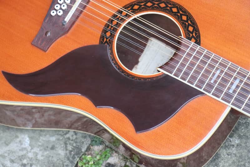 Eko Ranger XII