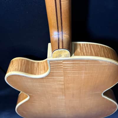 Hofner President Blonde Thinline Guitar - Toaster Diamond Pickups - Sturdy Martin Hard Case - 1961 image 12