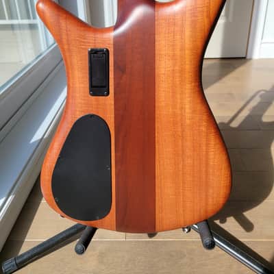 Spector Euro 4 RST 2023 - Sienna Stain matte image 5