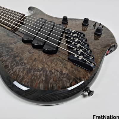 Dingwall Z3 6-String Bass Maple Burl Passive 6-Way Rotary 9.42lbs #6673 image 9