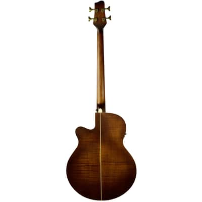 Sawtooth Acoustic-Electric Bass Guitar - Designed w Rudy Sarzo Bild 4