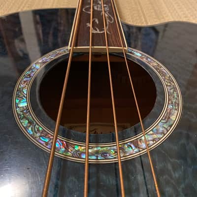 Michael Kelly Dragonfly 4-String Fretless Acoustic Bass image 2