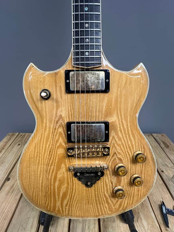 Ibanez Professional