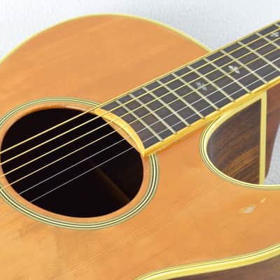 1982 Washburn Tanglewood Full Body EA45 Natural-Bob Dylan played one image 12