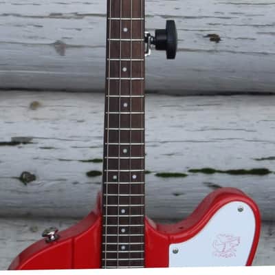 Epiphone Mandobird IV image 14