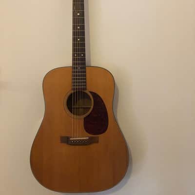 Martin D 18 1973 image 1