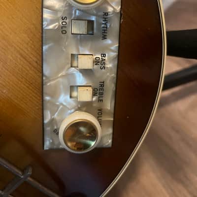 Hofner 500/2 Club Bass 1965 - 1970 - Sunburst image 5