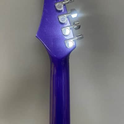 Hohner Professsional Metal 2010 image 8
