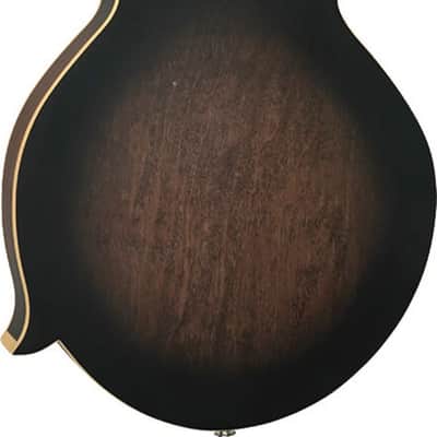 Gold Tone F-12 Long-Scale Manditar A-Style 12-String Acoustic-Electric Mandolin/Guitar, Solid Spruce Top, Tobacco Sunburst Satin image 3