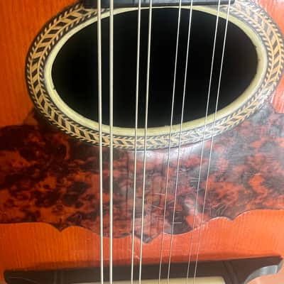 Gorgeous Martin Style Vintage 1800’s J. Howard W. Foote & Co CHALLENGE ROSEWOOD Bowlback Mandolin Challenge Bowlback Tater Bug Mandolin - Brazilian Rosewood image 12