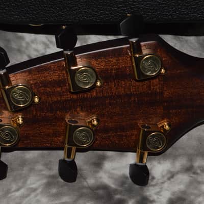 Immagine 2024 Breedlove - Organic Pro Performer CN Acoustic Electric - Aged top Toner, Burst back - 8