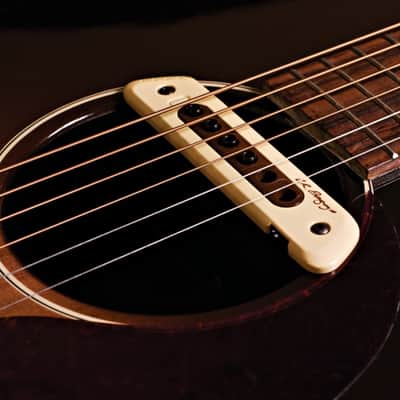 LR Baggs M80 image 4