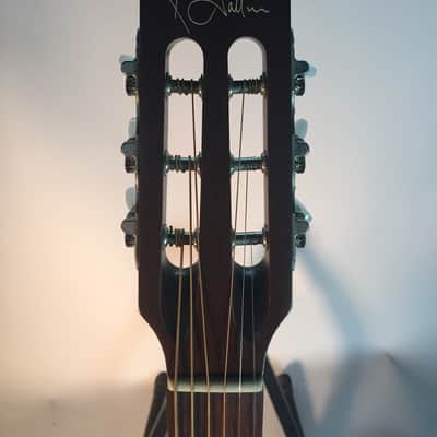 Godin Multiac Steel Duet image 3