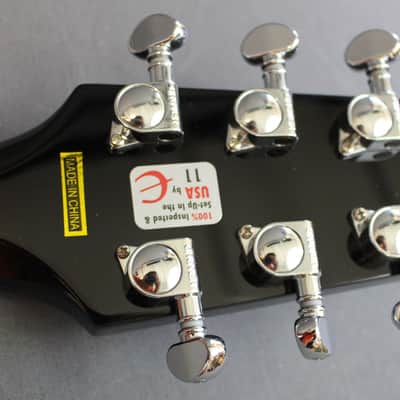 Epiphone Stagebird 6 String Electric Banjo image 13