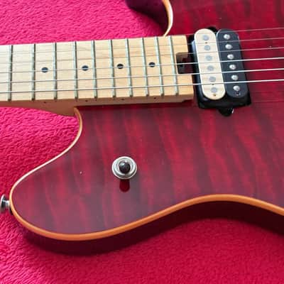 Peavey EVH Wolfgang Special Eddie Van Halen USA 1996 image 6