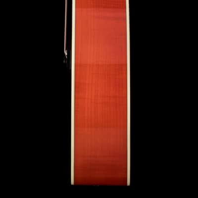 Taylor Doyle Dykes Signature Model #25061 (NAMM 2026) image 7